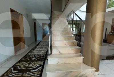 Vila Exclusivista cu Terasa si Curte Generoasa in Gavana, Pitesti - 20
