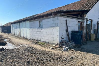 Teren de 700 mp, în Ileni - 2