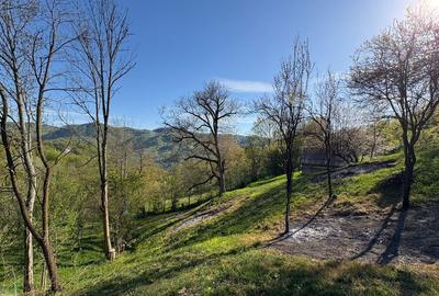 Casă cu 4 camere în Blăjeni - 7