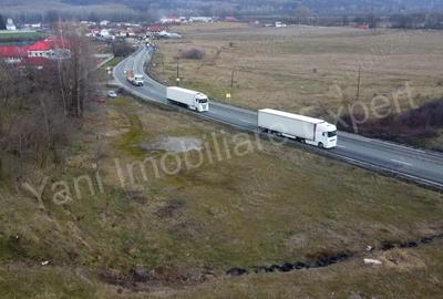 Teren de 10141 mp, în Dedulești - 5