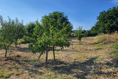 Casă cu 3 camere în Izvor - 1