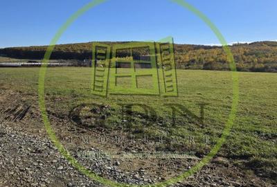 Teren de 1400 mp, în Sadu - 4