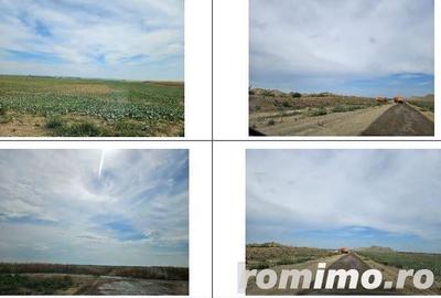 Teren cota parte 4/16 Horia, ID: R1967996 - 4