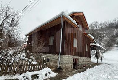 Casă cu 4 camere cu Teren 4302 Mp în Geoagiu-Băi - 10