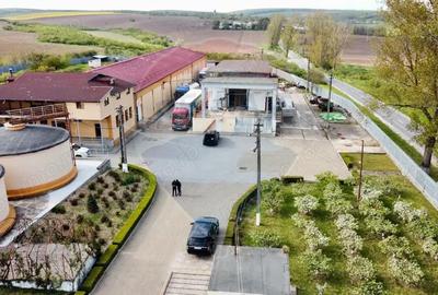 Crama din Buciumeni Afacere la cheie - 12
