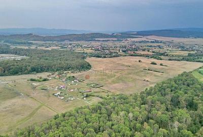 Teren Extravilan - 6