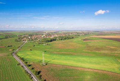 Teren de 104000 mp in Vinga - 7
