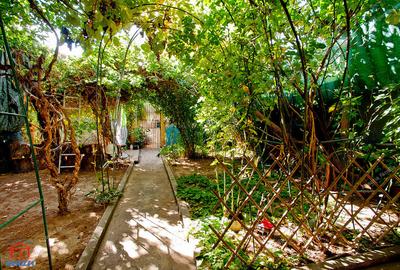 Casă cu 3 camere cu Canalizare în Dunărea - 17