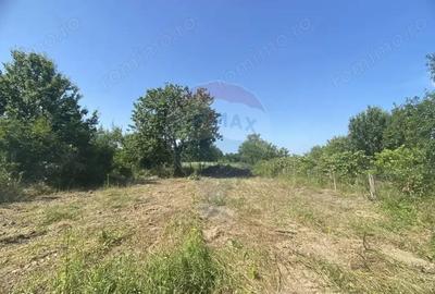 Casa cu teren 23 de ari de vanzare Casa cu teren 23 de ari de vanzare - 3