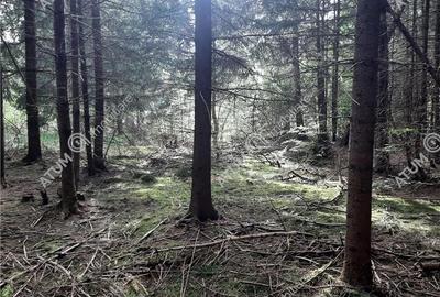 Teren intravilan  Avrig pe Valea Avrigului in zona Mlaci - 3