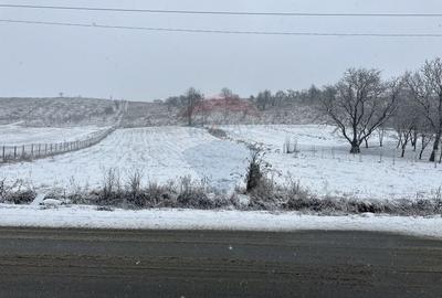 Teren 8,300mp Negresti (Dobreni) / Drumul DEALUL OTEL - 1