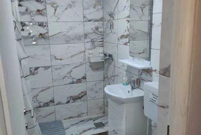 Inchiriere Apartament 2 Camere Langa Piata Progresu - 7