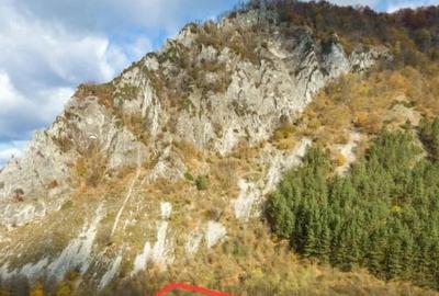 Teren intravilan de 3290 mp, în Lepșa - 3