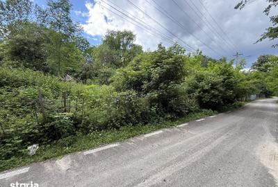 Teren de 683 mp, în Provița de Sus - 8
