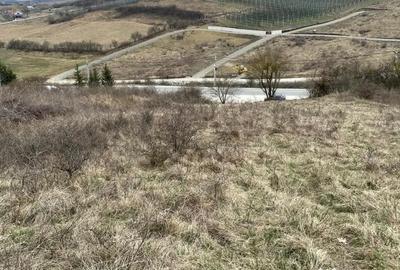 Teren de 1525 mp, în Jelna - 6