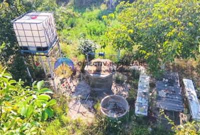 TEREN intravilan  6764 mp DRAGOMIRESTI - VAD - 7