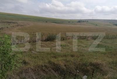 Teren intravilan 30.000 mp cu PUZ, parcelare, deschidere la - 1