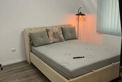 Apartament cu 3 camere decomandat, mobilat în Valea Adâncă - 4