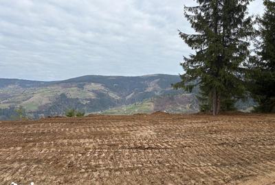 Teren de 1819 mp, în Horea - 6