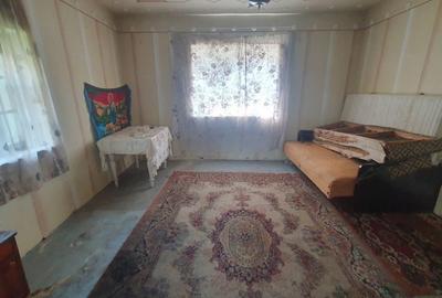 Casă cu 3 camere cu Teren 1072 Mp în Macea - 11