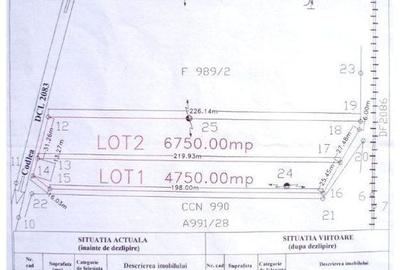 Teren 6,750mp Codlea / DN dn1 - 3