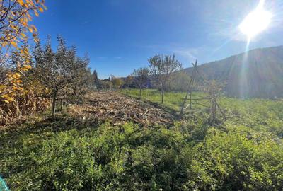 Spațiu comercial, în Mușătești - 4