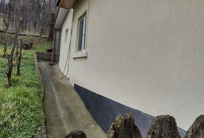 Casă în Filiași - 7