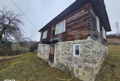 Casă cu 3 camere cu Teren 7297 Mp în Central - 4