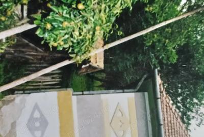 Casă cu 2 camere cu Teren 900 Mp în Sălciua - 5