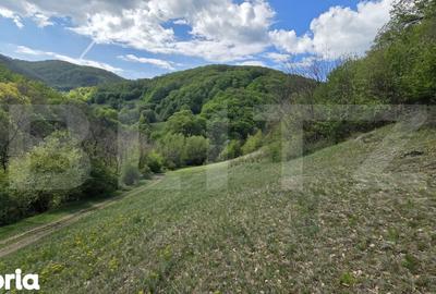 Teren de 9083 mp, în Meteș - 8