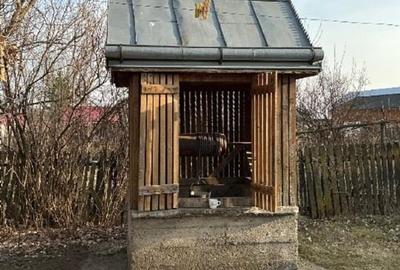 Teren Construcții intravilan de 5000 mp, în Sirețel - 2