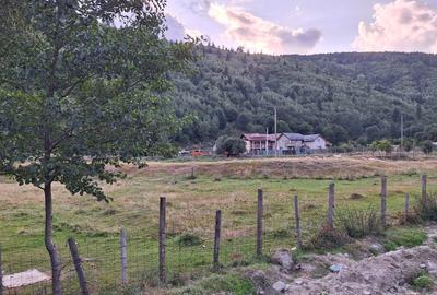 Teren intravilan de 11547 mp, în Lerești - 3