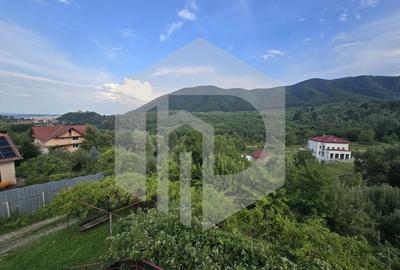 Casa individuala 4 camere teren 3825 mp Cisnadioara - 23