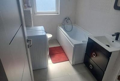 Apartament cu 2 camere în Valea Borcutului - 7
