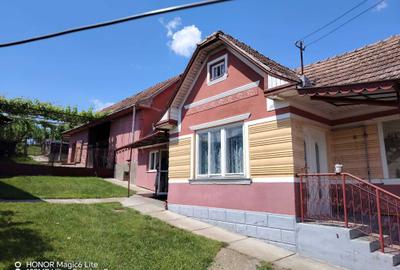 Casă cu 2 camere în Viișoara - 3
