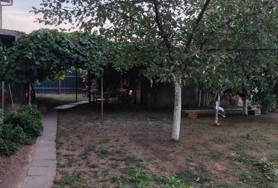 Apartament cu 2 camere decomandat în Remetea Mare - 3