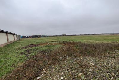 Teren 4588 mp, Remetea Mare Comision 0% - 1