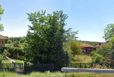 (101) Teren cu casa, pentru afaceri / Direct proprietar - 6