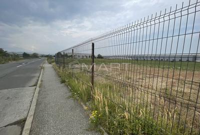Teren 11000mp, intravilan( curti+constructii ) zona industrala Vest