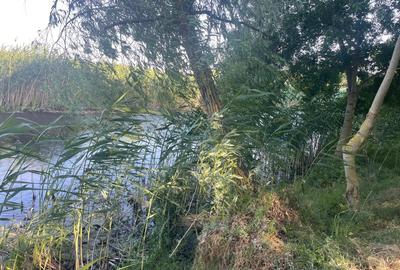 Teren intravilan 4.200 mp Murighiol - 13