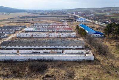 Teren  intravilan in sat Zapodia, com. Traian, jud. Bacau, 36.200mp, - 8