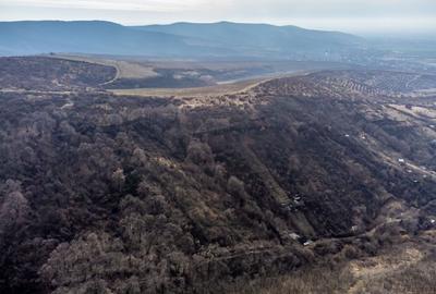Teren Construcții extravilan de 5000 mp, în Ghioroc - 3