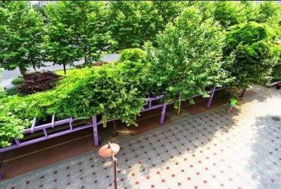 Apartament cu 3 camere decomandat în Unirii - 2