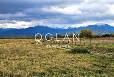 SUPER OFERTA! Teren 2000mp - Valea Avrigului, Sibiu SUPER OFERTA! Teren 2000mp - Valea Avrigului, Sibiu - 6