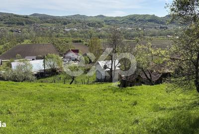 Spațiu comercial, în Bârseștii de Sus - 8