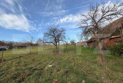 Casă cu 2 camere cu Teren 5000 Mp în Sud - 2