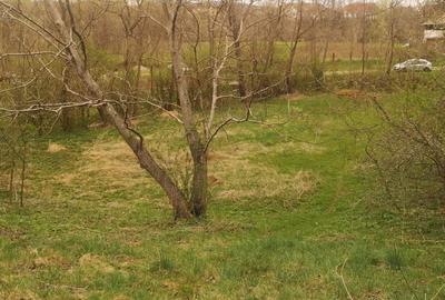 Spațiu comercial, în Stâlpeni - 4