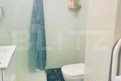 Apartament cu 3 camere decomandat, mobilat în Nufărul - 12