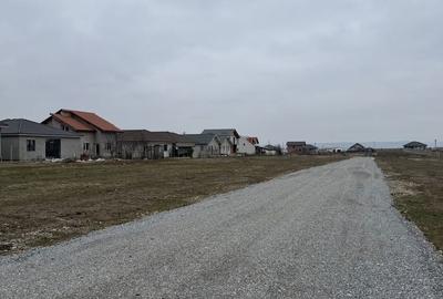 Spațiu comercial, în Cihei