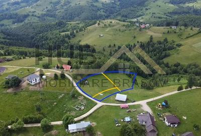 Oportunitate Investitie | Teren Pestera | 2.090mp | Utilitati Gaz/Curent | PUZ - 2